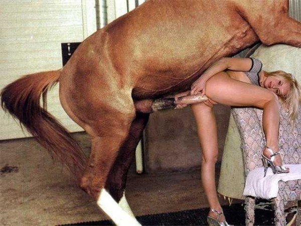 Sexo con caballos