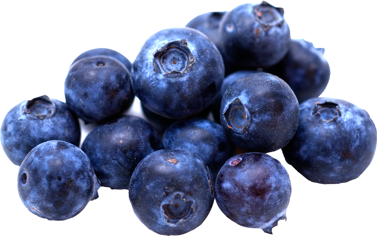 Captian R. reccomend carmella blueberryaka violet beauregarde porn