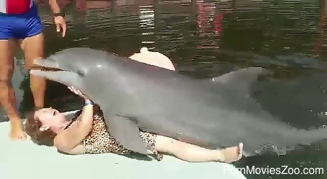 Dolphin sex with human video