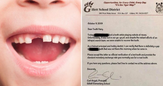 best of Uses year high toothb school