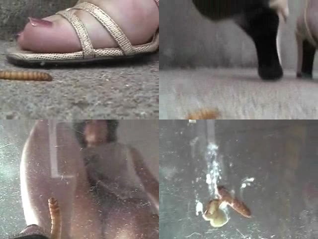 Dino reccomend barefoot bug crush fetish