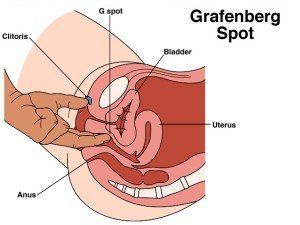 Half-Pipe reccomend g spot sex positions