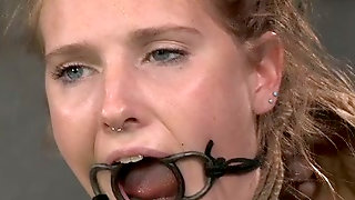 Eclipse reccomend ring gag
