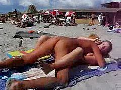 Sex Crowded Beach Excellent Pics Free