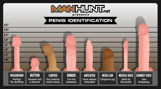 best of Cock types